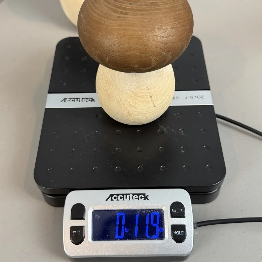 2 Mushroom Shape Wood Containers with Removable Mushroom Cap Lids Decor